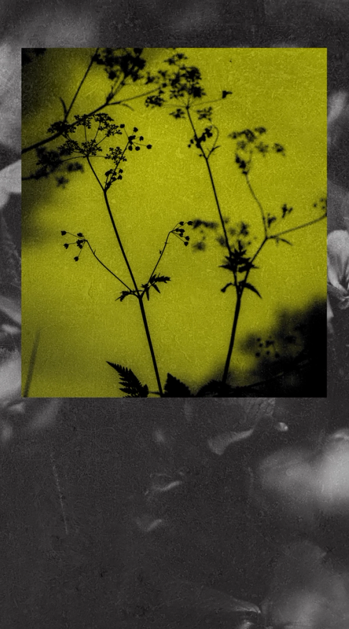 Изображение-У людей по всему миру становится меньше друзей